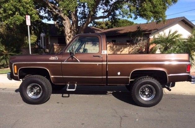 1977 Brown Chevrolet C/K Pickup 1500 Standard Cab Pickup