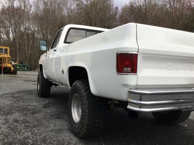 1977 White Chevrolet C/K Pickup 1500 Standard Cab Pickup