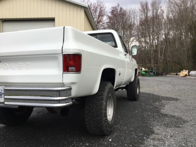 1977 White Chevrolet C/K Pickup 1500 Standard Cab Pickup