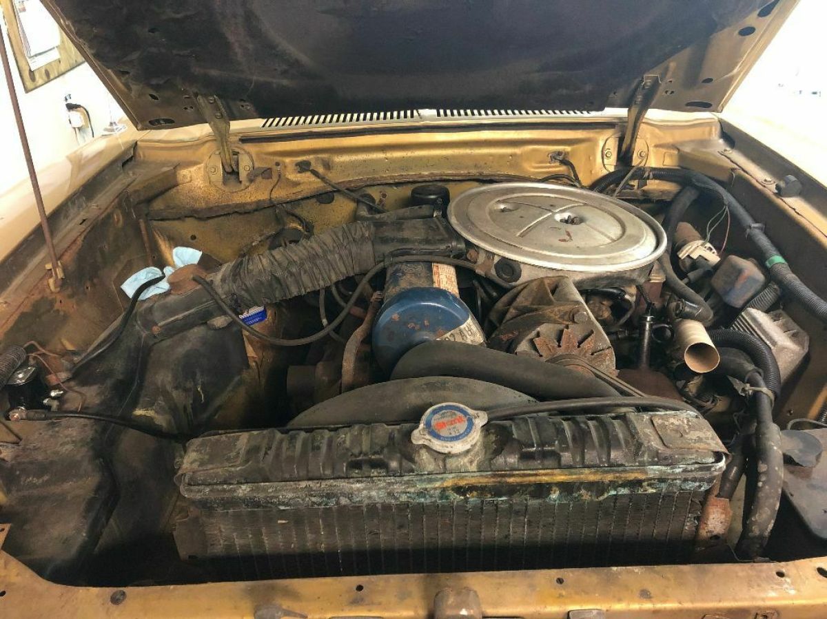 1977 gold Ford Mustang Coupe