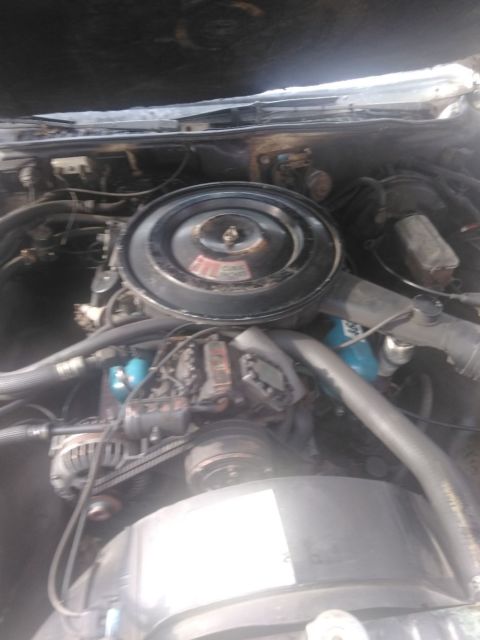 1977 White Plymouth Gran Fury Sedan