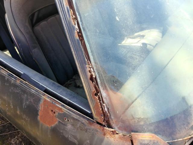 1977 Pontiac Trans Am