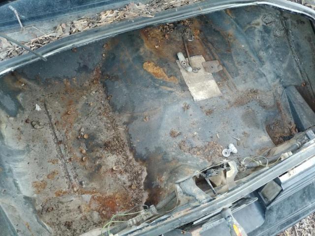 1977 Pontiac Trans Am