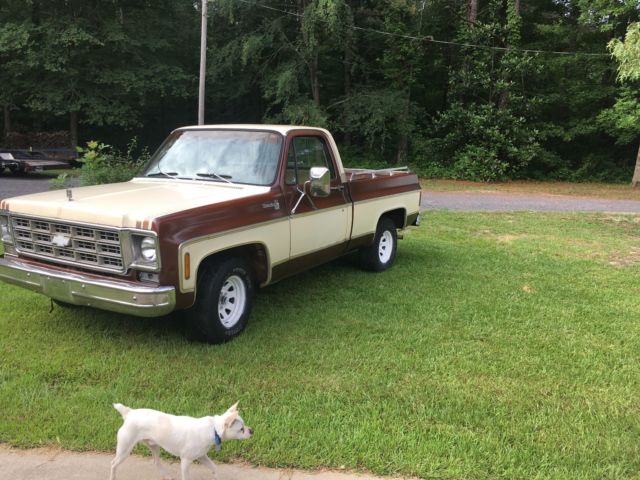 1977 Brown Chevrolet C-10 reg cab