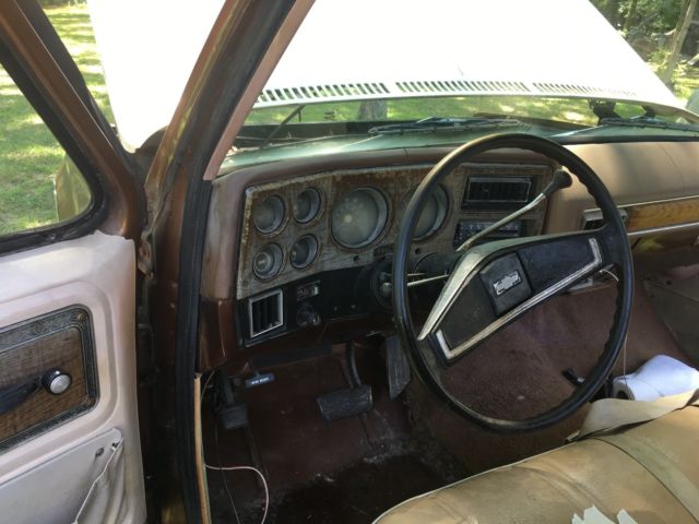 1977 Brown Chevrolet C-10 reg cab
