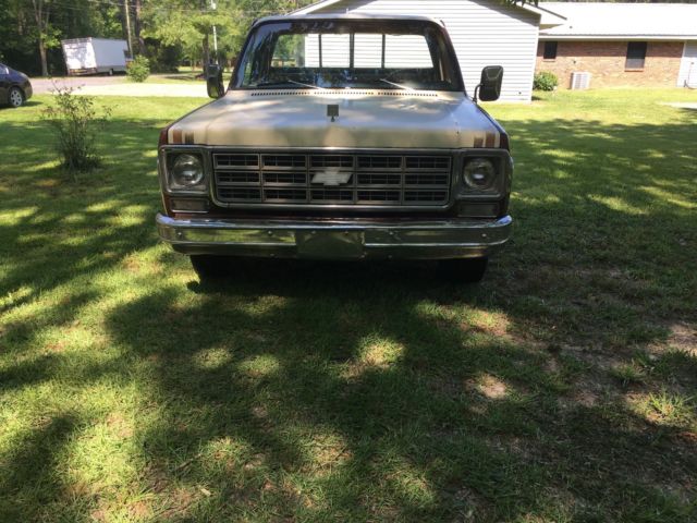 1977 Brown Chevrolet C-10 reg cab