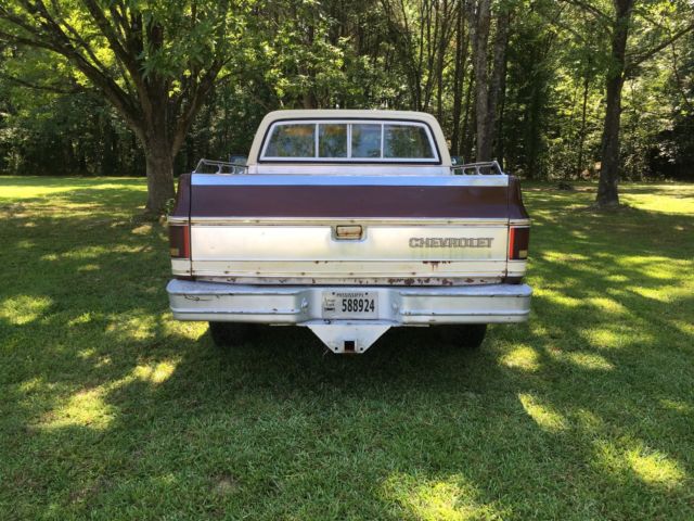1977 Brown Chevrolet C-10 reg cab