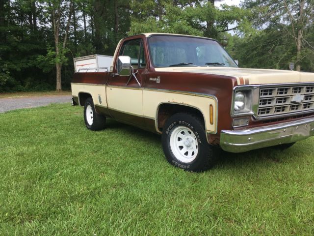 1977 Brown Chevrolet C-10 reg cab