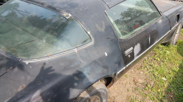 1977 Pontiac Trans Am