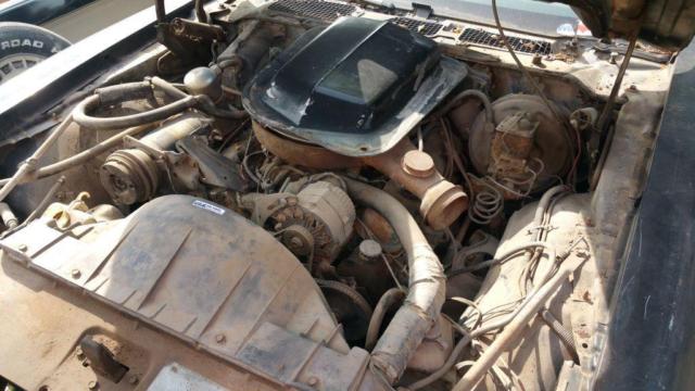 1977 Pontiac Trans Am