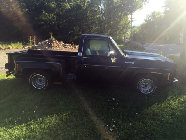 1978 Blue Chevrolet Other Pickups Standard Cab Pickup
