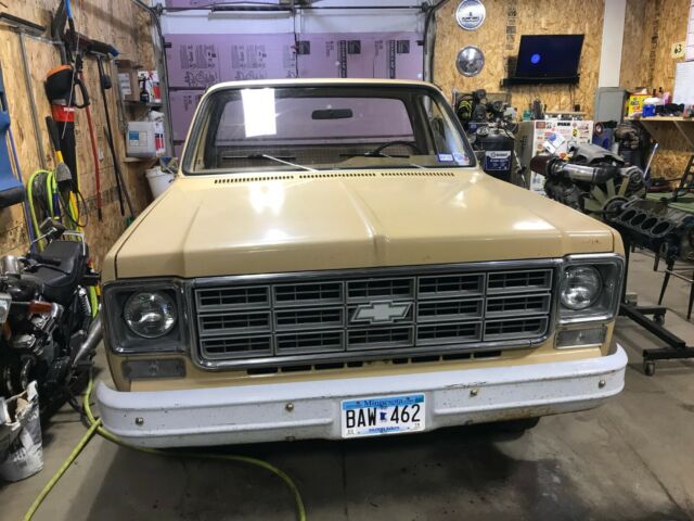 1978 Chevrolet C-10