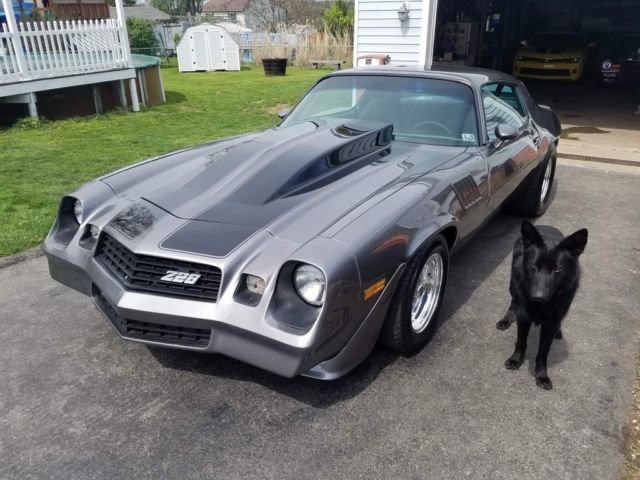 1978 Gray Chevrolet Camaro Coupe