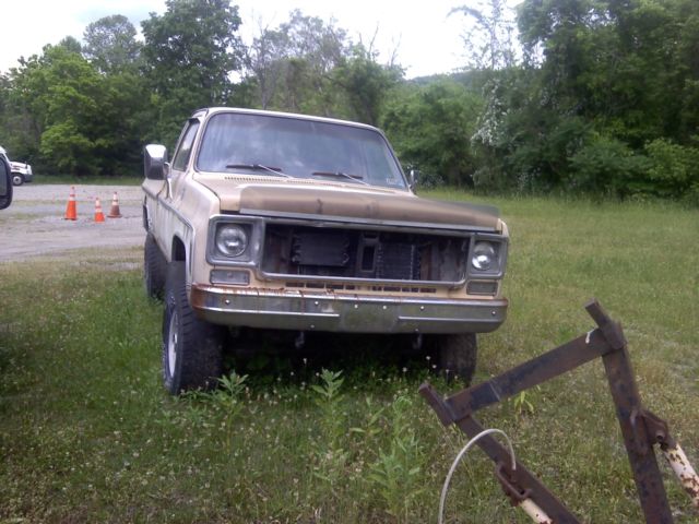 1978 Tan / White Chevrolet Other Pickups