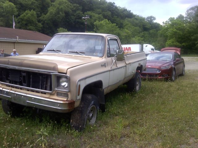 1978 Tan / White Chevrolet Other Pickups