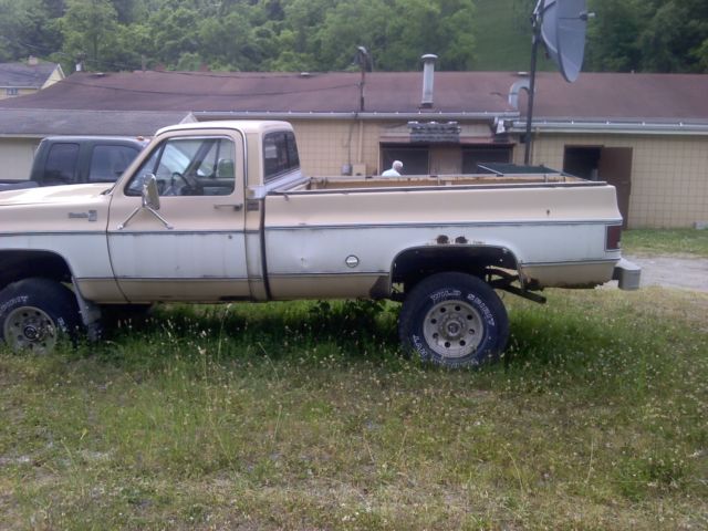 1978 Tan / White Chevrolet Other Pickups
