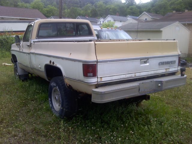 1978 Tan / White Chevrolet Other Pickups
