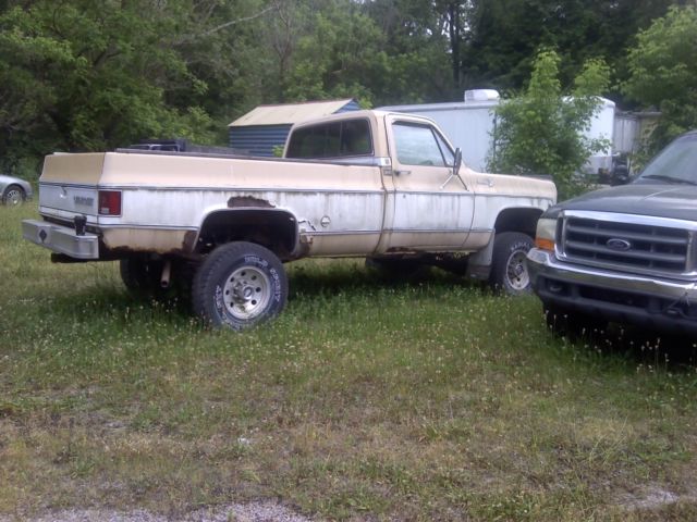 1978 Tan / White Chevrolet Other Pickups
