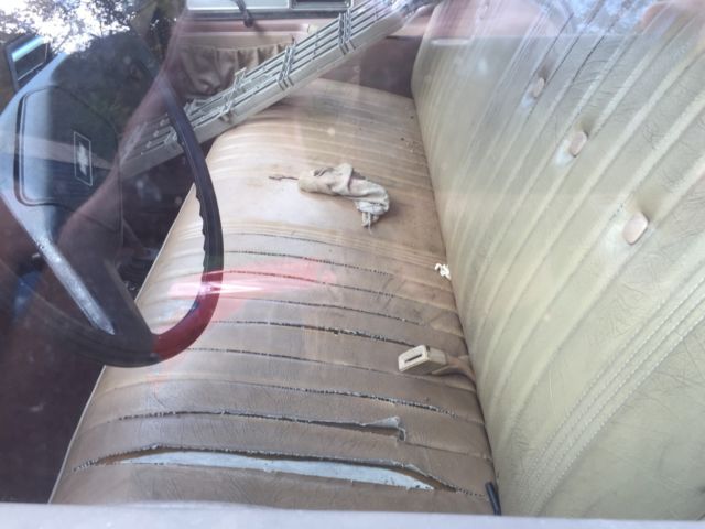 1978 Tan / White Chevrolet Other Pickups