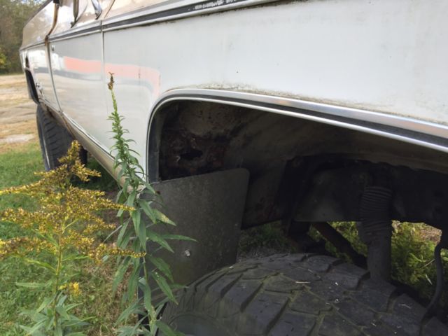 1978 Tan / White Chevrolet Other Pickups