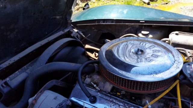 1979 Green Chevrolet Corvette Coupe