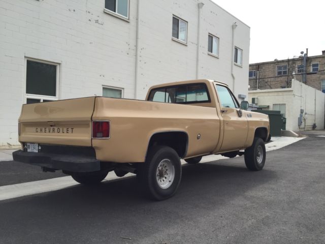 1978 Blue Chevrolet Other Pickups Pick up