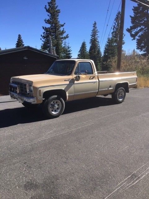 1978 Tan Chevrolet C/K Pickup 2500 Standard Cab Pickup