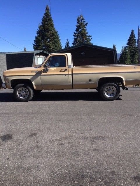 1978 Tan Chevrolet C/K Pickup 2500 Standard Cab Pickup