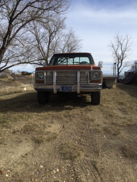 1978 Brown Chevrolet C/K Pickup 2500 Standard Cab Pickup