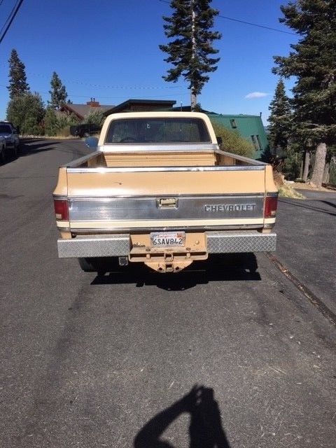 1978 Tan Chevrolet C/K Pickup 2500 Standard Cab Pickup