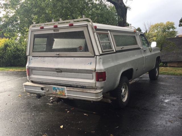 1978 Silver Chevrolet Cheyenne