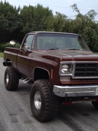 1978 Brown Chevrolet C/K Pickup 1500 Standard Cab Pickup