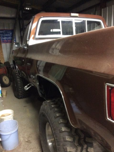 1978 Brown Chevrolet C/K Pickup 1500 Standard Cab Pickup