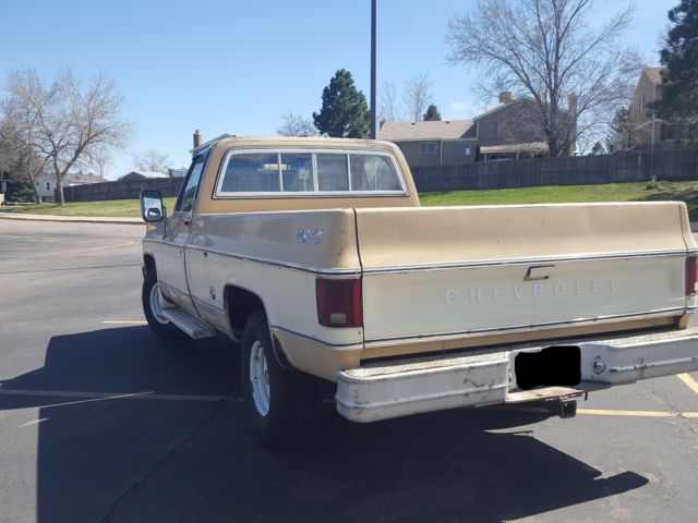 1978 Tan Chevrolet C-10 Standard Cab Pickup