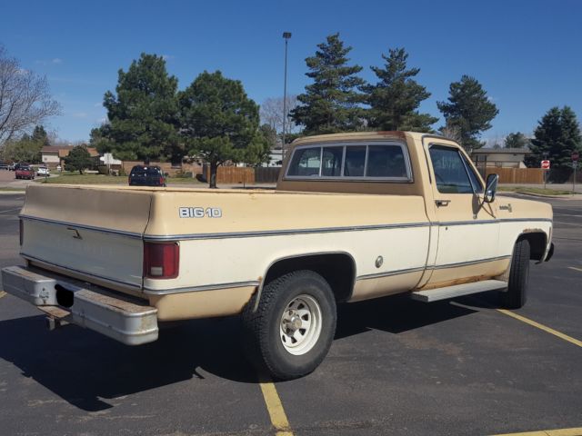 1978 Tan Chevrolet C-10 Standard Cab Pickup