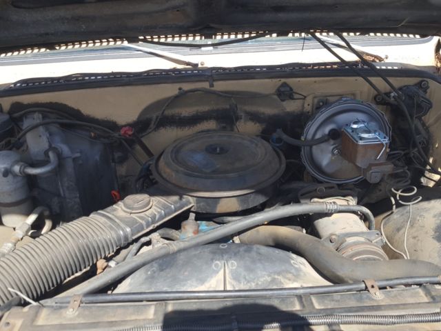 1978 Tan Chevrolet C-10 Standard Cab Pickup