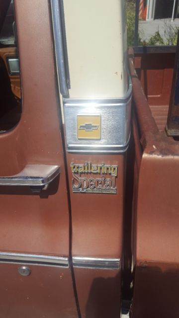 1978 Brown Chevrolet C-10 Standard Cab Pickup