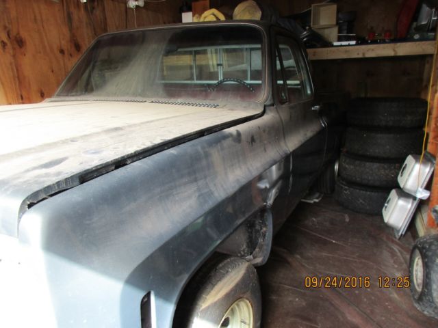 1978 Gray Chevrolet Other Pickups Standard Cab Pickup