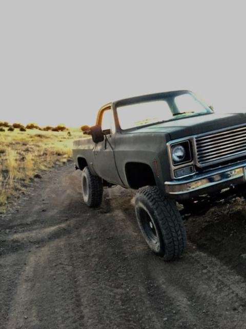 1978 Green Chevrolet C/K Pickup 1500 Standard Cab Pickup