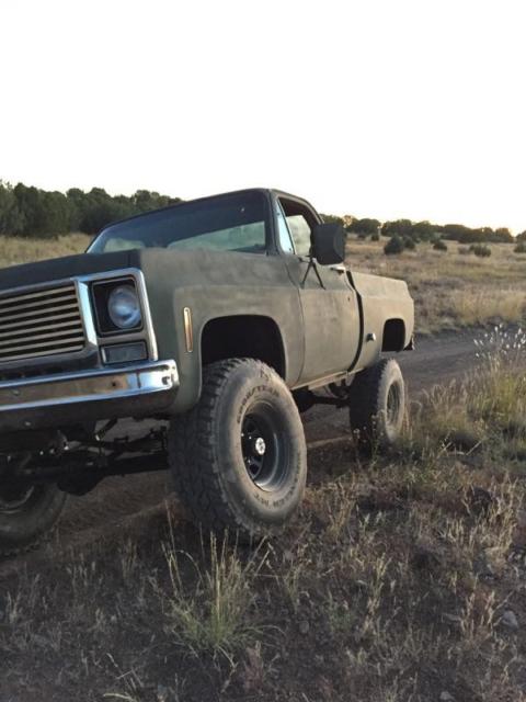 1978 Green Chevrolet C/K Pickup 1500 Standard Cab Pickup