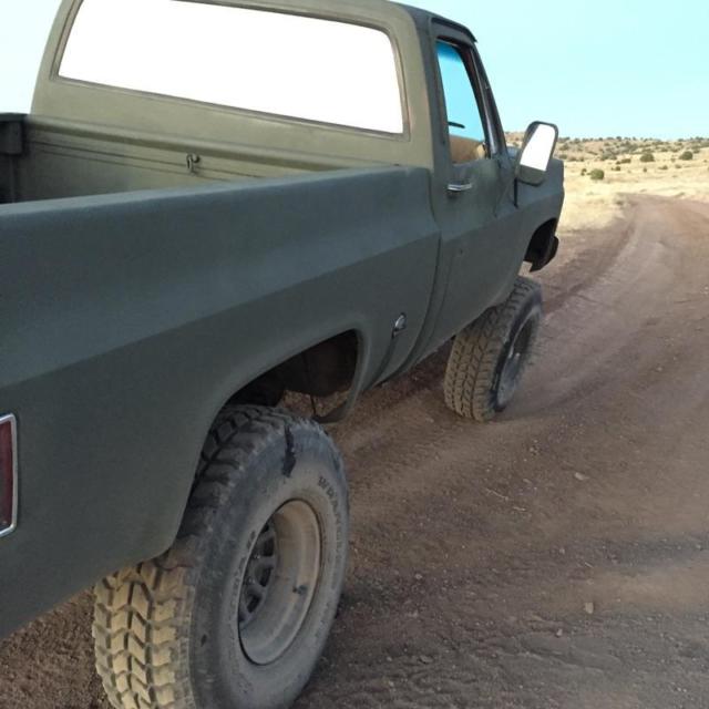 1978 Green Chevrolet C/K Pickup 1500 Standard Cab Pickup