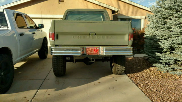 1978 Green Chevrolet C/K Pickup 1500 Standard Cab Pickup