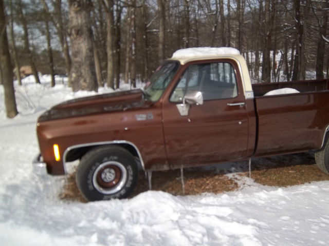 1978 Metallic Bronze-Metallic Cream Chevrolet C/K Pickup 1500 Pickup