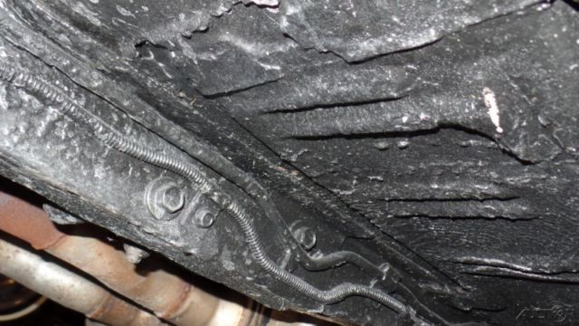 1978 Black Ford Mustang Other