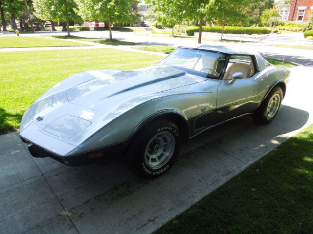 1978 Silver/Grey Chevrolet Corvette Fastback
