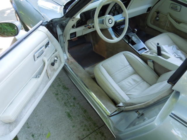 1978 Silver/Grey Chevrolet Corvette Fastback