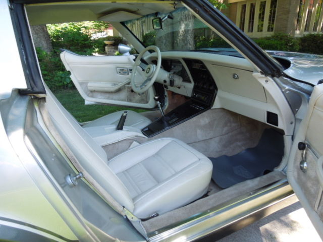 1978 Silver/Grey Chevrolet Corvette Fastback