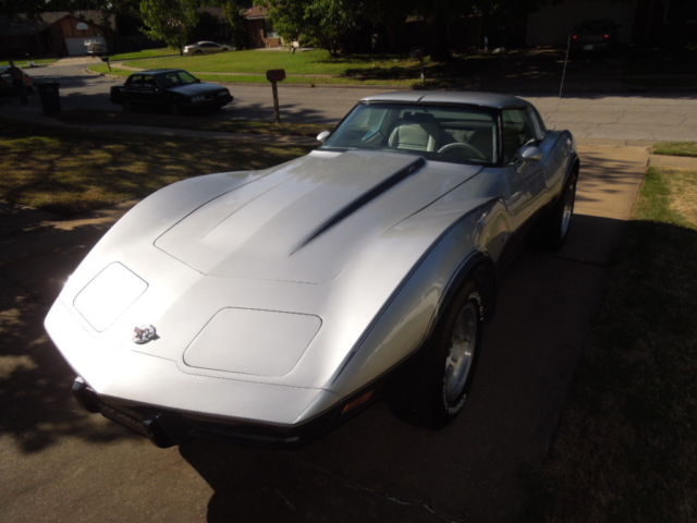 1978 Silver/Grey Chevrolet Corvette Fastback