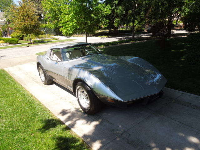 1978 Silver/Grey Chevrolet Corvette Fastback