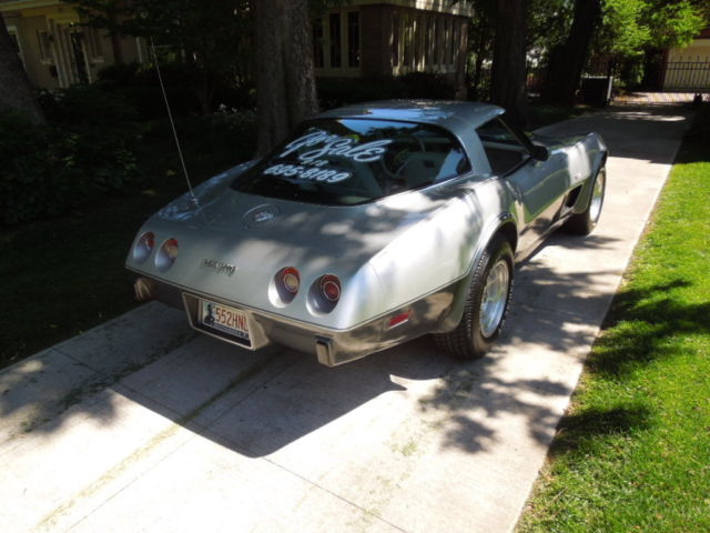 1978 Silver/Grey Chevrolet Corvette Fastback